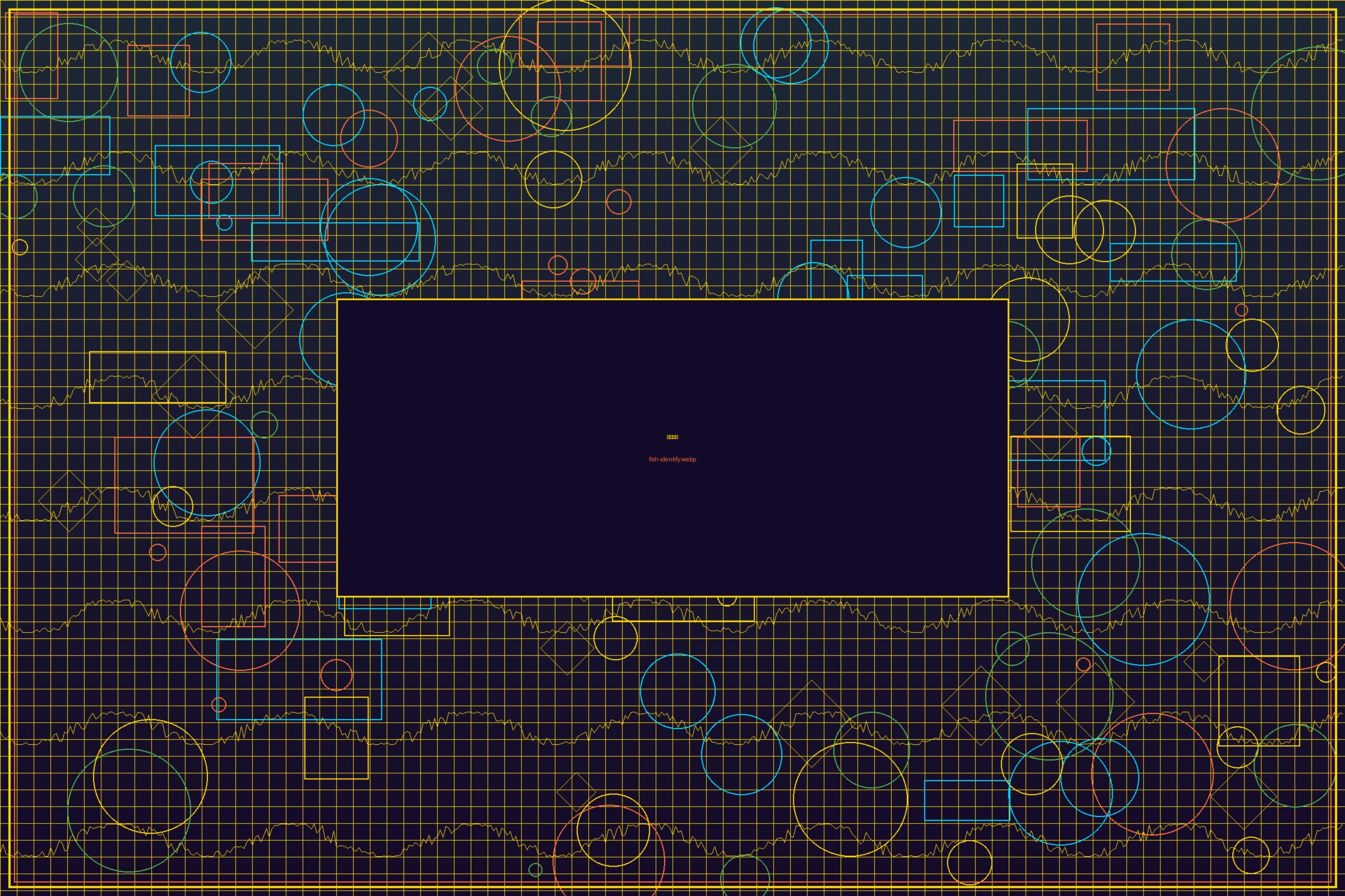 乐鱼体育基础鱼种识别指南截图